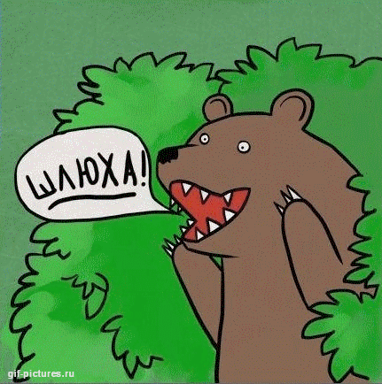 Медведь в кустах гифки, гиф, gif, анимации