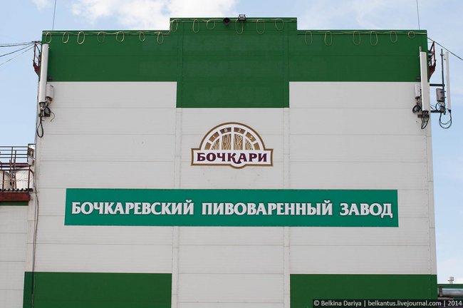 Как производят пиво в Алтайском крае