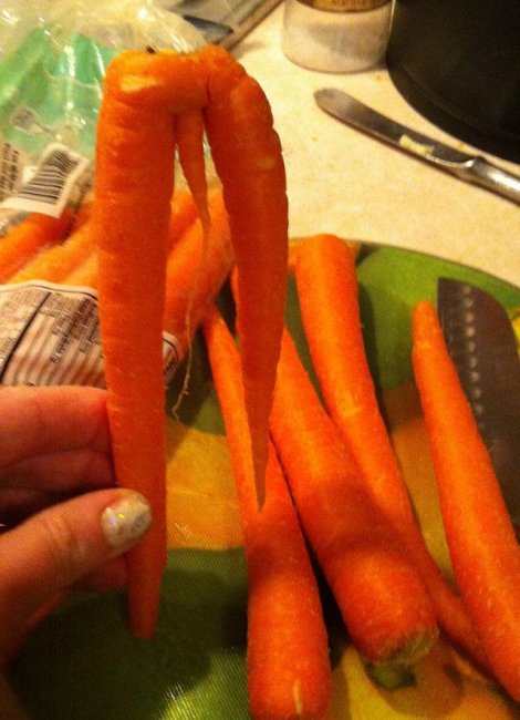 Среди урожая морковки нашлась идеальная пара