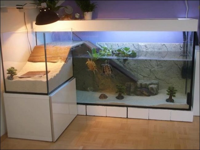 30 удивительных аквариумов