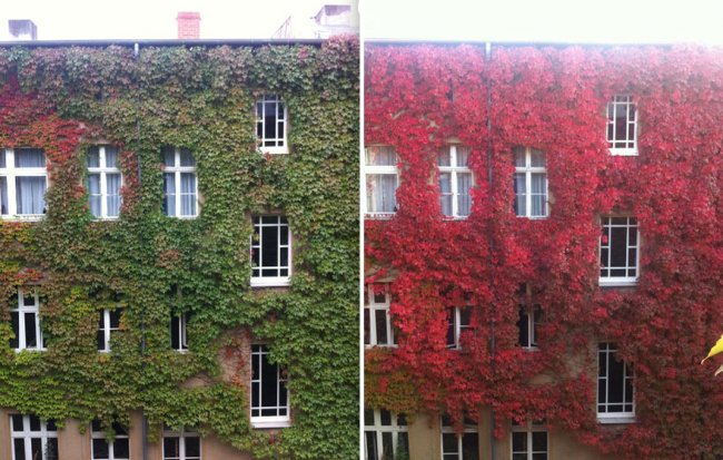 Осенние преображения: 12 пейзажей до и после