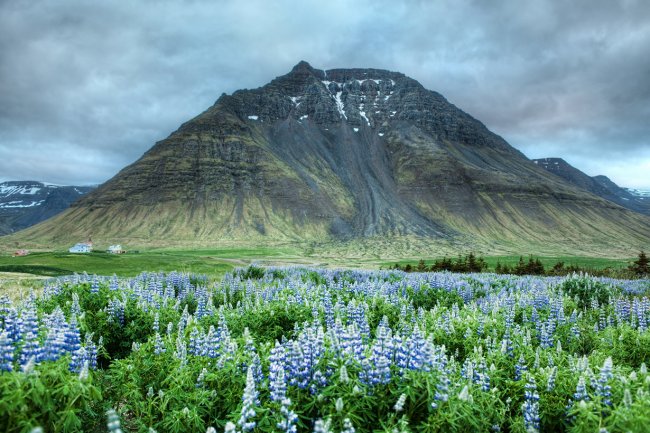 13 удивительных фактов об Исландии, о которых вы даже не догадывались