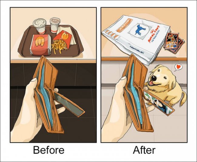 Жизнь до и после заведения собаки