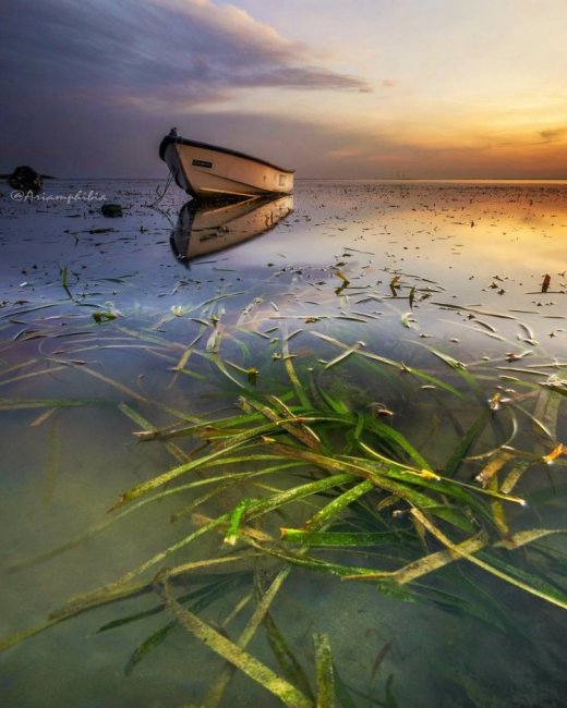 Индонезия на снимках Ari Amphibia