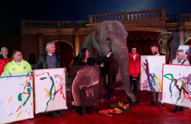 Картины слонихи-художницы продают по $150