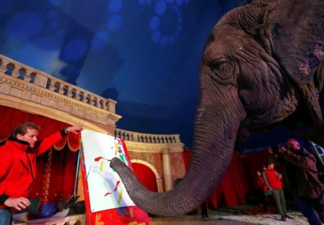 Картины слонихи-художницы продают по $150