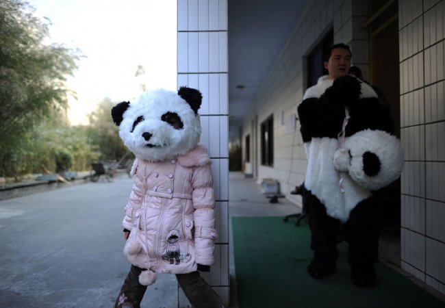 Резерваты гигантской панды в провинции Сычуань