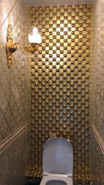 Роскошный туалет для ректора уральского вуза
