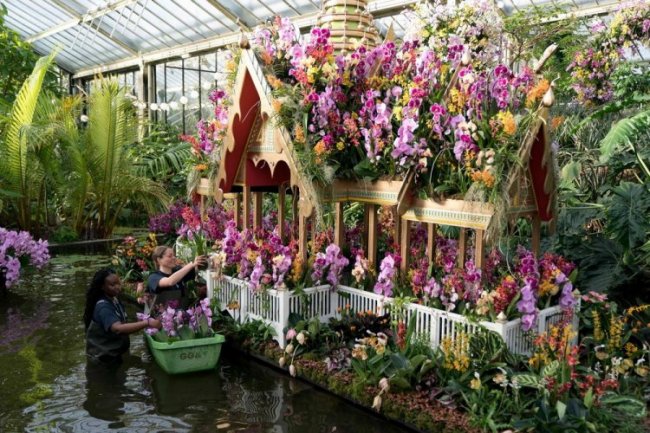 Фестиваль орхидей в Лондоне