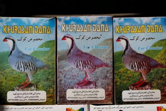 Птичий рынок в Кабуле