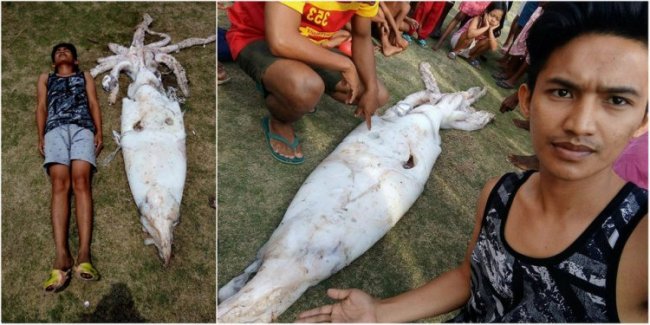 Филиппинский рыбак поймал 2,5-метрового кальмара