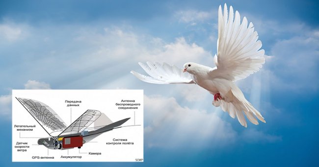 В Китае появились дроны, копирующие поведение голубей