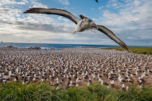 Воздух, земля и море: проект National Geographic