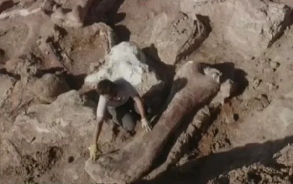 Пастух обнаружил огромные кости, эта находка поразила учёных