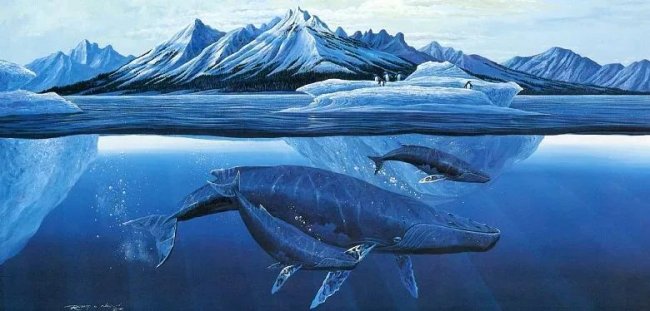 Рыбаки выловили самое крупное животное, больше которого, возможно, не было в истории Земли