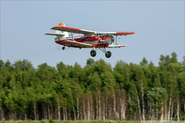 Аэродром Орешково: самолеты, медведи и коты
