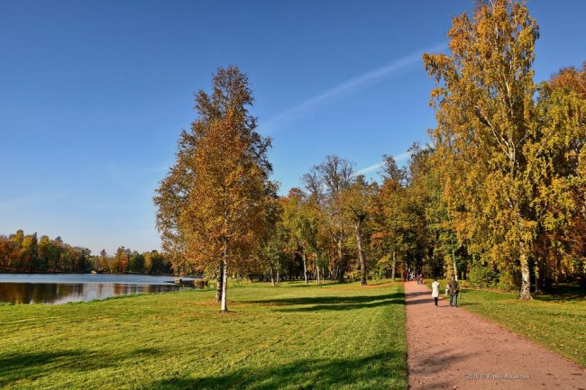 Гатчинский парк осенью